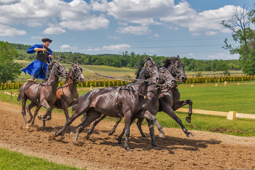 You Can Still Bet On Your Favorite Horse, Even If It Is Drawn Wide